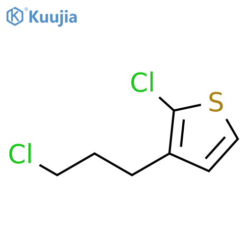 Thiophene, 2-chloro-3-(3-chloropropyl)- structure