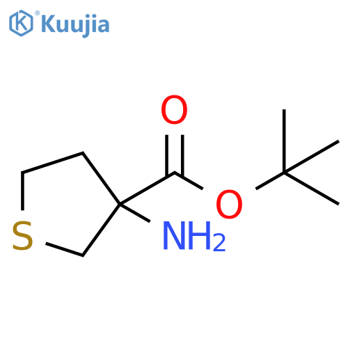 Tert-butyl 3-aminothiolane-3-carboxylate structure
