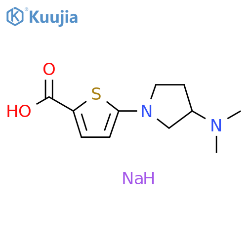sodium 5-3-(dimethylamino)pyrrolidin-1-ylthiophene-2-carboxylate structure