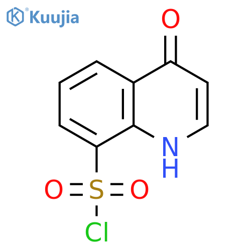 4-oxo-1,4-dihydroquinoline-8-sulfonyl chloride structure