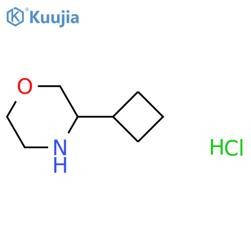 3-cyclobutylmorpholine hydrochloride structure