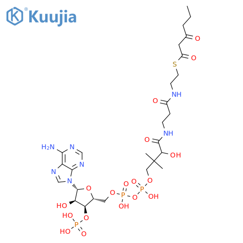 Coenzyme A, S-(3-oxohexanoate) structure
