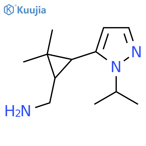 {2,2-dimethyl-3-1-(propan-2-yl)-1H-pyrazol-5-ylcyclopropyl}methanamine structure
