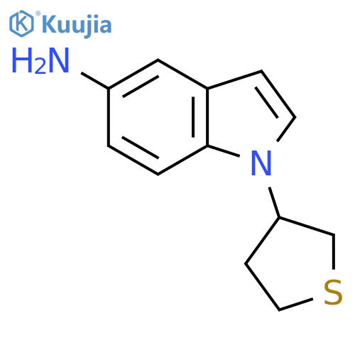 1-(thiolan-3-yl)-1H-indol-5-amine structure
