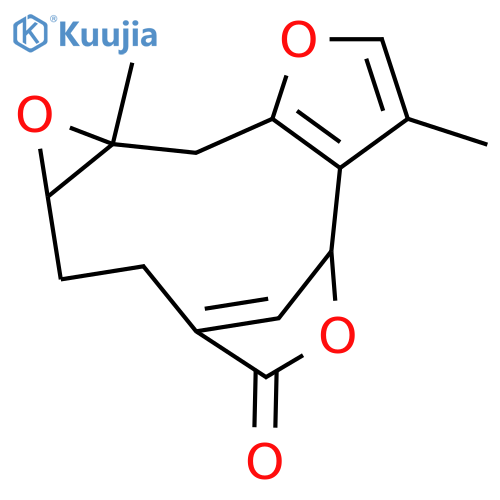 Neolinderan structure