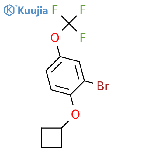 Benzene, 2-bromo-1-(cyclobutyloxy)-4-(trifluoromethoxy)- structure