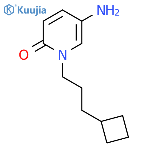 5-amino-1-(3-cyclobutylpropyl)-1,2-dihydropyridin-2-one structure