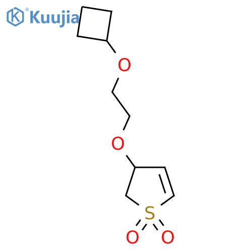 3-(2-cyclobutoxyethoxy)-2,3-dihydro-1lambda6-thiophene-1,1-dione structure