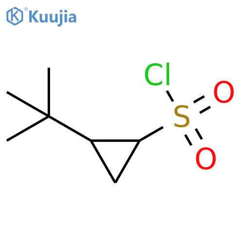 2-Tert-butylcyclopropane-1-sulfonyl chloride structure