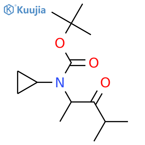 tert-butyl N-cyclopropyl-N-(4-methyl-3-oxopentan-2-yl)carbamate structure