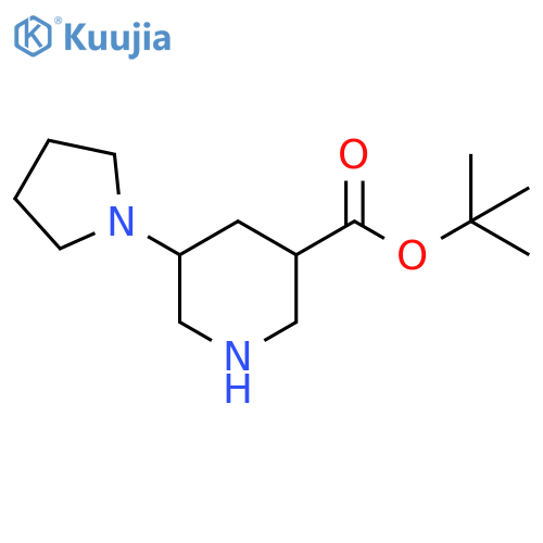 tert-butyl 5-(pyrrolidin-1-yl)piperidine-3-carboxylate structure