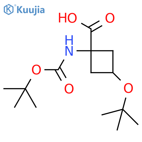 3-(tert-butoxy)-1-{(tert-butoxy)carbonylamino}cyclobutane-1-carboxylic acid structure