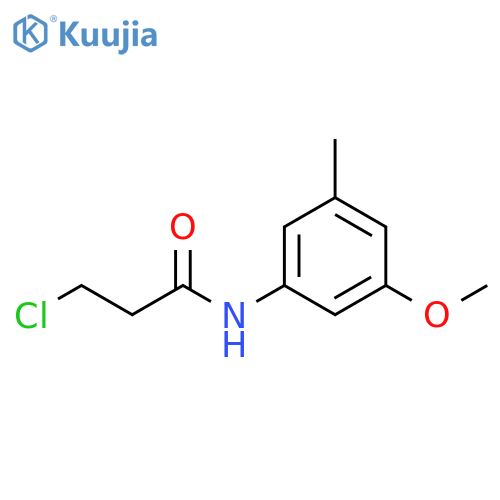 3-chloro-N-(3-methoxy-5-methylphenyl)propanamide structure