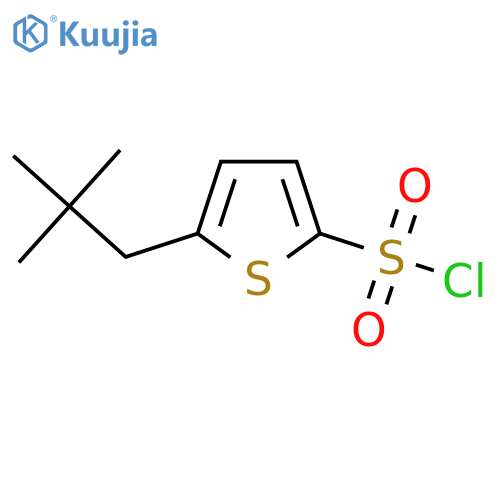 5-(2,2-Dimethylpropyl)thiophene-2-sulfonyl chloride structure