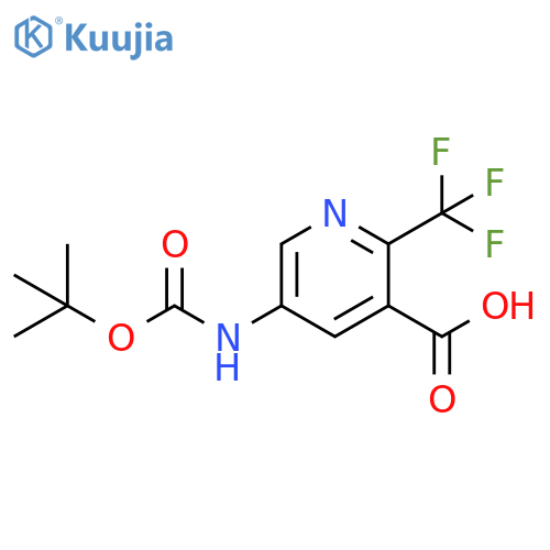 3-Pyridinecarboxylic acid, 5-[[(1,1-dimethylethoxy)carbonyl]amino]-2-(trifluoromethyl)- structure