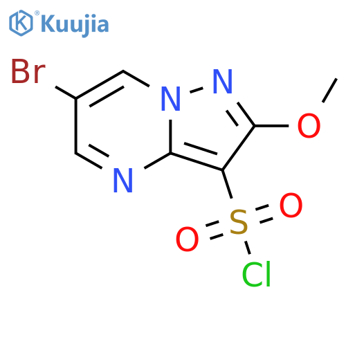 6-Bromo-2-methoxypyrazolo[1,5-a]pyrimidine-3-sulfonyl chloride structure