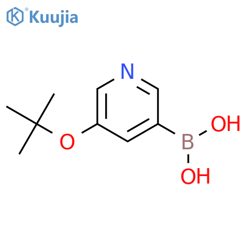 [5-(tert-butoxy)pyridin-3-yl]boronic acid structure