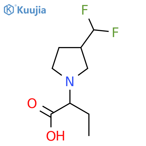 2-(3-(Difluoromethyl)pyrrolidin-1-yl)butanoic acid structure
