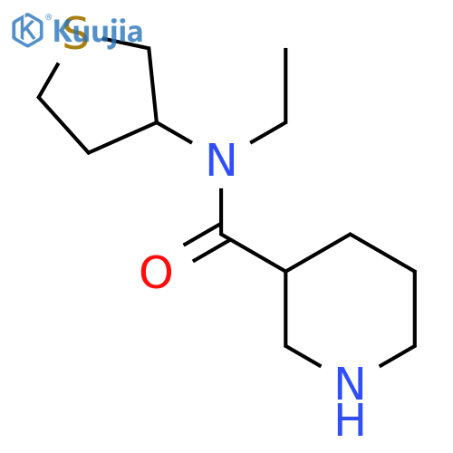 N-Ethyl-N-(tetrahydrothiophen-3-yl)piperidine-3-carboxamide structure