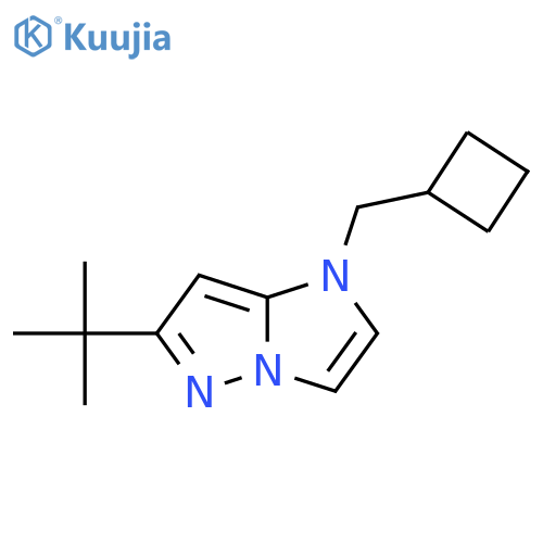 6-(Tert-butyl)-1-(cyclobutylmethyl)-1H-imidazo[1,2-b]pyrazole structure