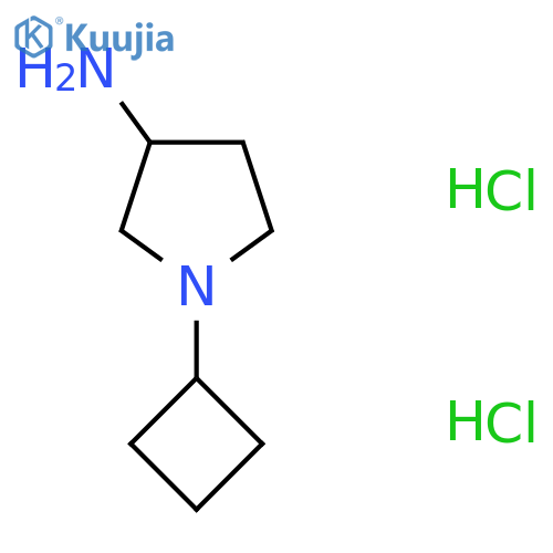1-Cyclobutylpyrrolidin-3-amine dihydrochloride structure