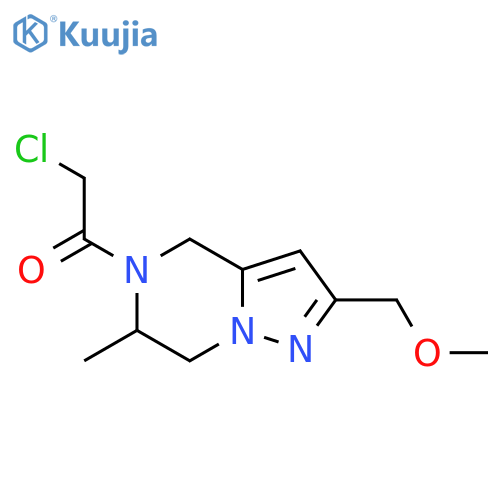 2-chloro-1-(2-(methoxymethyl)-6-methyl-6,7-dihydropyrazolo[1,5-a]pyrazin-5(4H)-yl)ethan-1-one structure