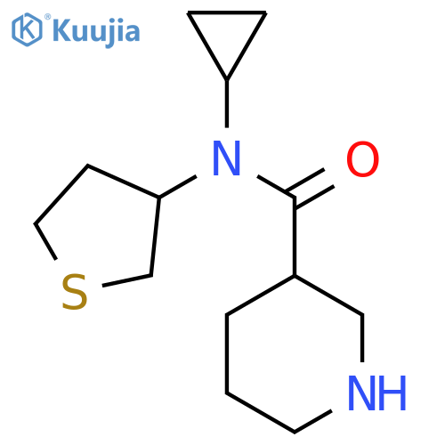 N-Cyclopropyl-N-(tetrahydrothiophen-3-yl)piperidine-3-carboxamide structure