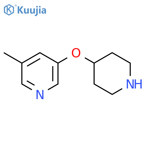 3-methyl-5-(piperidin-4-yloxy)pyridine structure