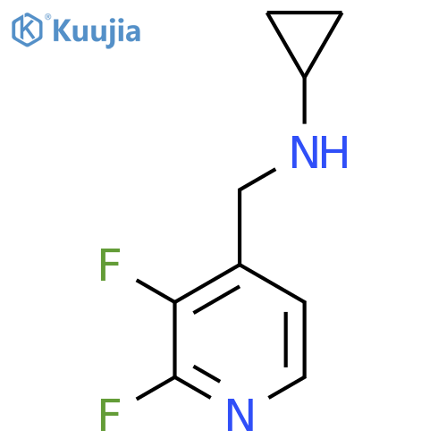 N-[(2,3-difluoropyridin-4-yl)methyl]cyclopropanamine structure