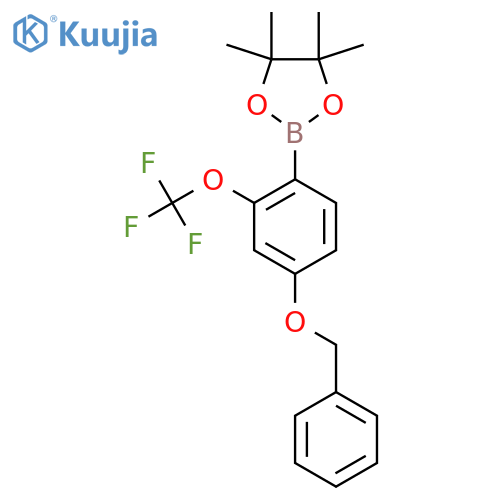 4-Benzyloxy-2-(trifluoromethoxy)phenylboronic acid pinacol ester structure