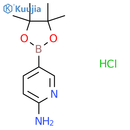 2-Aminopyridine-5-boronic acid pinacol ester hydrochloride structure