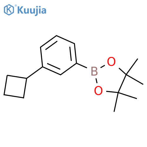 2-(3-cyclobutylphenyl)-4,4,5,5-tetramethyl-1,3,2-dioxaborolane structure