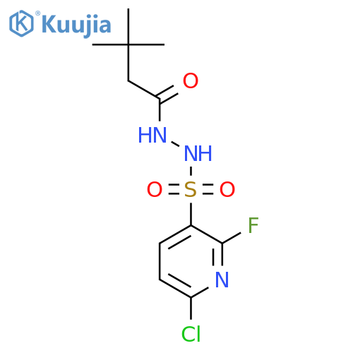 N'-(6-Chloro-2-fluoropyridin-3-yl)sulfonyl-3,3-dimethylbutanehydrazide structure