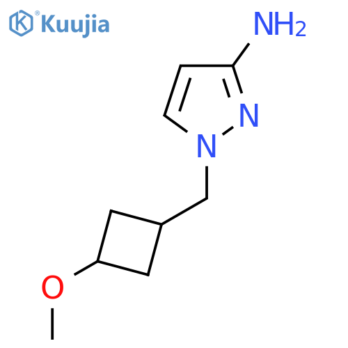 1-{(1s,3s)-3-methoxycyclobutylmethyl}-1H-pyrazol-3-amine structure