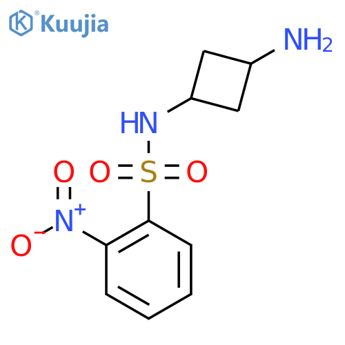 2-nitro-N-(1s,3s)-3-aminocyclobutylbenzene-1-sulfonamide structure
