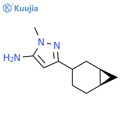 rac-3-[(1R,6R)-bicyclo[4.1.0]heptan-3-yl]-1-methyl-1H-pyrazol-5-amine structure