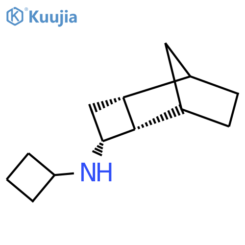 rac-(2R,3S,5S)-N-cyclobutyltricyclo[4.2.1.0,2,5]nonan-3-amine structure