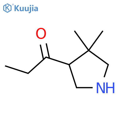 1-(4,4-Dimethylpyrrolidin-3-yl)propan-1-one structure