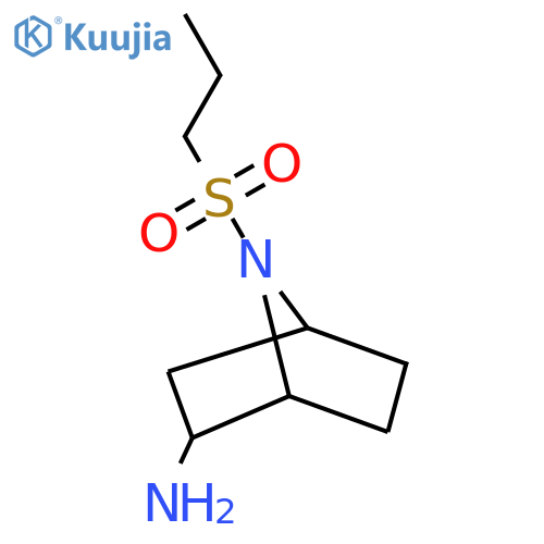 7-(Propane-1-sulfonyl)-7-azabicyclo[2.2.1]heptan-2-amine structure