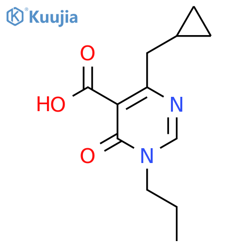 4-(cyclopropylmethyl)-6-oxo-1-propyl-1,6-dihydropyrimidine-5-carboxylic acid structure