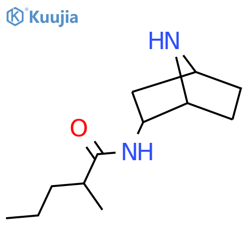 N-{7-azabicyclo[2.2.1]heptan-2-yl}-2-methylpentanamide structure