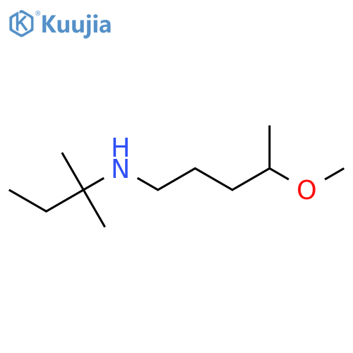 (4-Methoxypentyl)(2-methylbutan-2-yl)amine structure