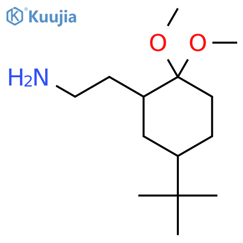 2-(5-tert-butyl-2,2-dimethoxycyclohexyl)ethan-1-amine structure