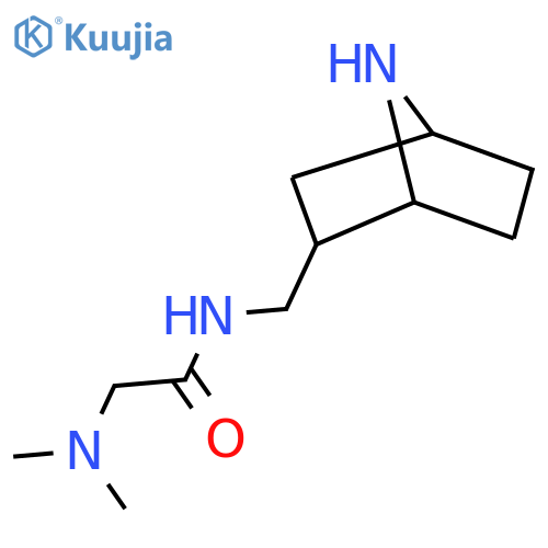 N-({7-azabicyclo[2.2.1]heptan-2-yl}methyl)-2-(dimethylamino)acetamide structure