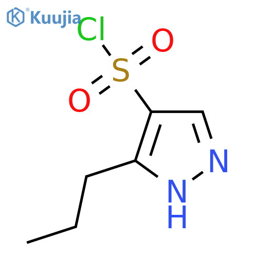 3-propyl-1H-pyrazole-4-sulfonyl chloride structure