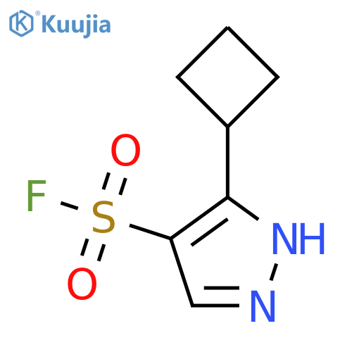 3-cyclobutyl-1H-pyrazole-4-sulfonyl fluoride structure