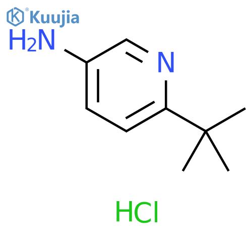 6-tert-butylpyridin-3-amine dihydrochloride structure