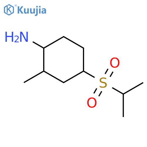 Cyclohexanamine, 2-methyl-4-[(1-methylethyl)sulfonyl]- structure