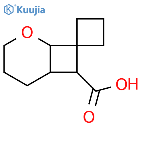 Spiro[cyclobutane-1,8'-[2]oxabicyclo[4.2.0]octane]-7'-carboxylic acid structure
