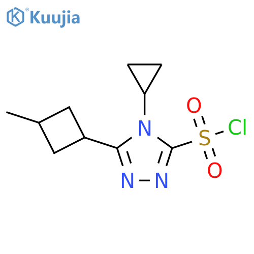 4H-1,2,4-Triazole-3-sulfonyl chloride, 4-cyclopropyl-5-(3-methylcyclobutyl)- structure